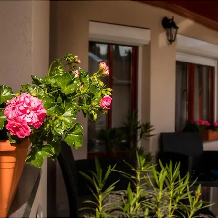 Roma Apartmanhaz شقة *