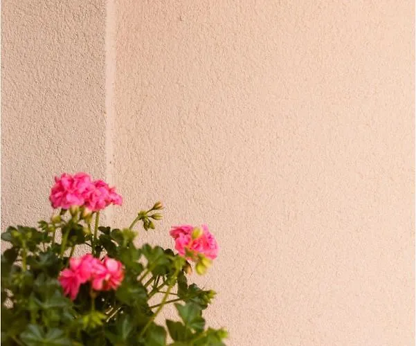 Lägenhet Roma Apartmanhaz Bogács